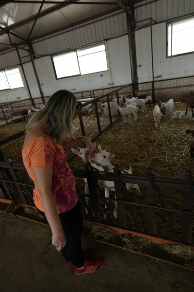 Dairy Khoury Farm Gates Opening